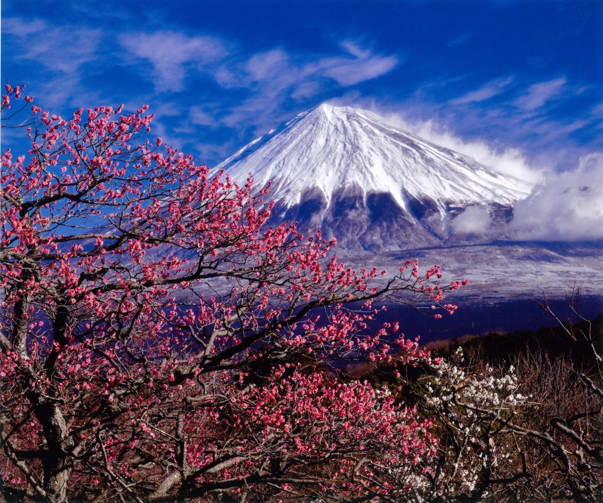 Kyukamura Fuji Fujinomiya Eksteriør billede